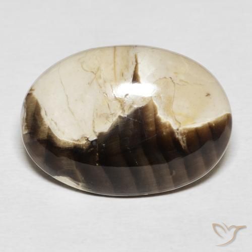 15.62ct Natürlicher Mehrfarbig Erdnussholz Jaspis, Oval, Lichtundurchlässig