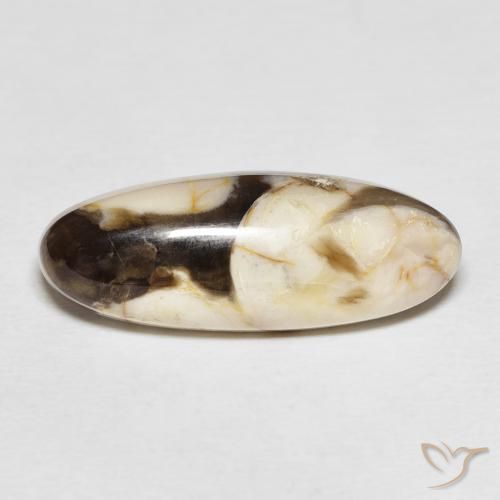 12.85ct Natürlicher Mehrfarbig Erdnussholz Jaspis, Oval, Lichtundurchlässig