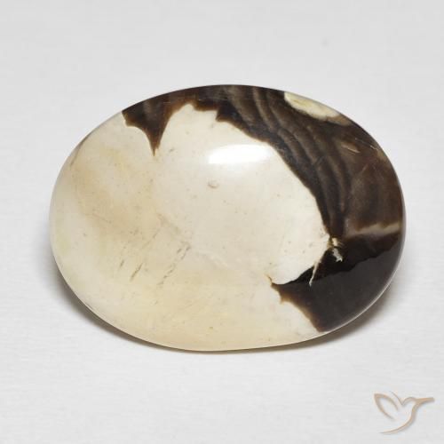 19.54ct Natürlicher Mehrfarbig Erdnussholz Jaspis, Oval, Lichtundurchlässig
