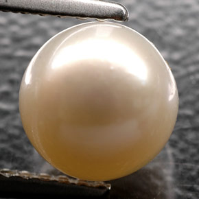 2,52 ctw natürlicher cream Perle, Sphäre / Kugel, Lichtundurchlässig