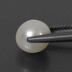 9,17 ctw natürlicher Creme Perle, Kugel / Ball, Lichtundurchlässig