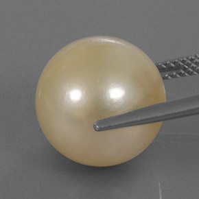 14,49 ctw natürlicher Gold Perle, Sphäre / Kugel, Lichtundurchlässig