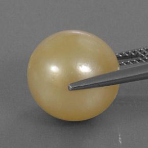 9,17 ctw natürlicher Golden Perle, Kugel / Ball, Lichtundurchlässig