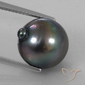 11.55ct Natürlicher dunkelgrau Perle, Fantasie, Lichtundurchlässig, Photo A