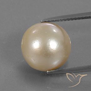 12.24ct Natürlicher hellgolden Perle, Kugel / Ball, Lichtundurchlässig, Photo A