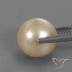 9,17 ctw natürlicher hellgolden Perle, Kugel / Ball, Lichtundurchlässig