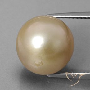 13.01ct Natürlicher Golden Perle, Kugel / Ball, Lichtundurchlässig, Photo A