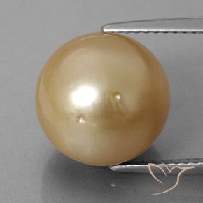 12,60 ctw natürlicher goldener Perle, Sphäre / Kugel, Lichtundurchlässig