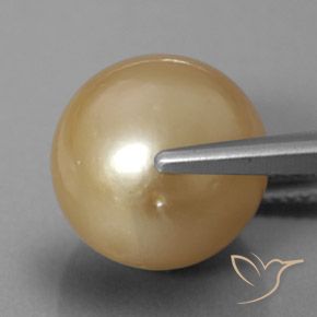 12,60 ctw natürlicher goldener Perle, Sphäre / Kugel, Lichtundurchlässig