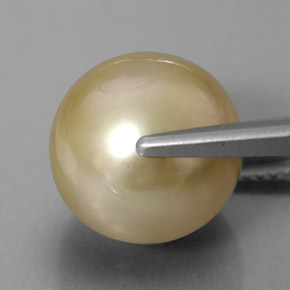11,75 ctw natürlicher gelber Perle, Sphäre / Kugel, Lichtundurchlässig