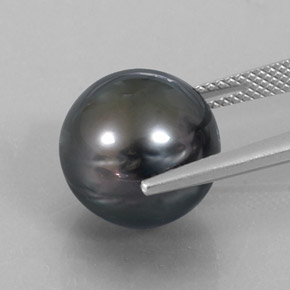 9,17 ctw natürlicher Dunkelsilber Perle, Kugel / Ball, Lichtundurchlässig