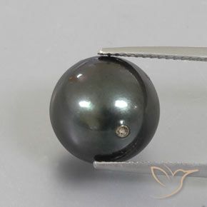 13.49ct Natürlicher dunkelgrau Perle, Kugel / Ball, Lichtundurchlässig, Photo A