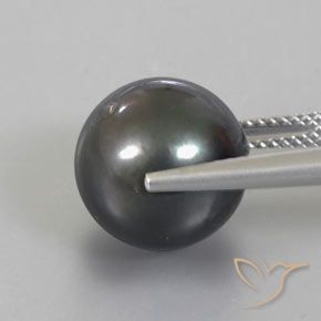 9,17 ctw natürlicher dunkelgrau Perle, Kugel / Ball, Lichtundurchlässig