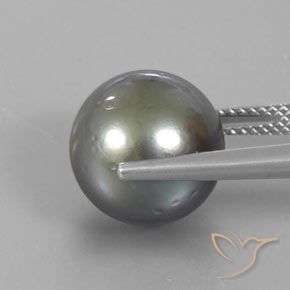 9,17 ctw natürlicher Mittel-Dunkelgrau Perle, Kugel / Ball, Lichtundurchlässig