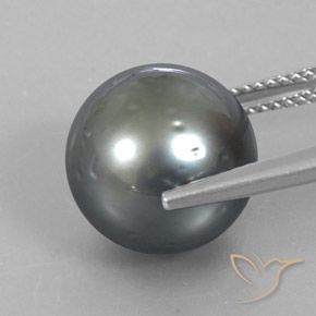 9,17 ctw natürlicher Silber Perle, Kugel / Ball, Lichtundurchlässig