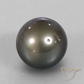 9,17 ctw natürlicher Gelblich Silber Perle, Sphäre / Kugel, Lichtundurchlässig