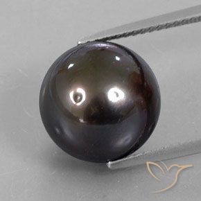 13.30ct Natürlicher Braun Perle, Kugel / Ball, Lichtundurchlässig, Photo A