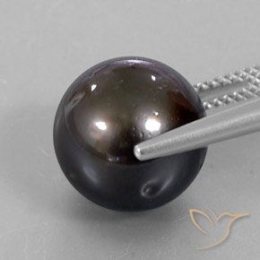 9,17 ctw natürlicher Braun Perle, Kugel / Ball, Lichtundurchlässig