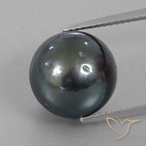 13.05ct Natürlicher dunkelgrau Perle, Kugel / Ball, Lichtundurchlässig, Photo A