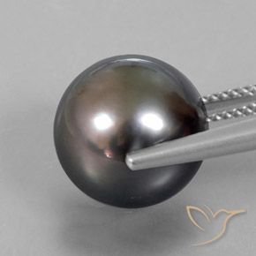 9,17 ctw natürlicher Braun Perle, Kugel / Ball, Lichtundurchlässig