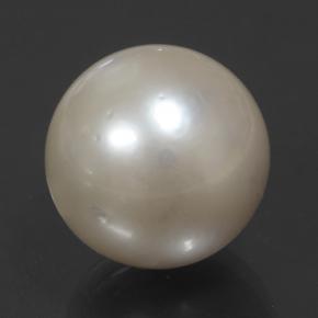 14,32 ctw natürlicher cream Perle, Sphäre / Kugel, Lichtundurchlässig