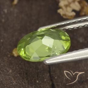 9,17 ctw natürlicher Mittelgrün Peridot, Oval, VS