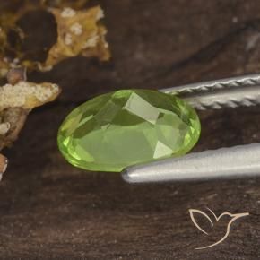 9,17 ctw natürlicher Mittelgrün Peridot, Oval, VS