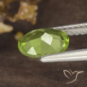 9,17 ctw natürlicher Mittelgrün Peridot, Oval, VS