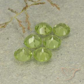 2.85 ct natürliche Mittelgrün Peridot-Edelsteine, Runden, VVS-VS