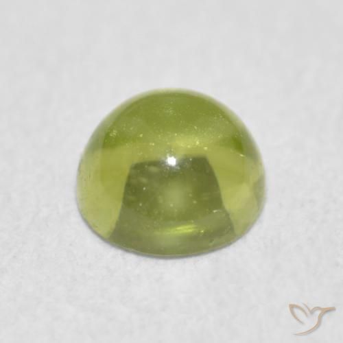 9,17 ctw natürlicher Olivgrün Peridot, Runden, Transparent