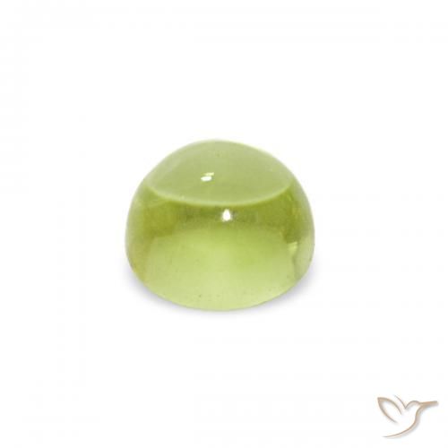 9,17 ctw natürlicher Olivgrün Peridot, Runden, Transparent