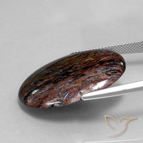 9,17 ctw natürlicher Mehrfarbig Pietersite, Oval, Lichtundurchlässig
