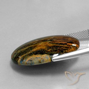 9,17 ctw natürlicher Mehrfarbig Pietersite, Oval, Lichtundurchlässig