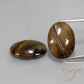 12.69ctw Natürlicher Mehrfarbig Pietersite, Oval, Lichtundurchlässig