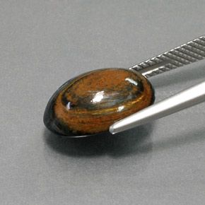 9,17 ctw natürlicher Mehrfarbig Pietersite, Oval Schliff, Lichtundurchlässig