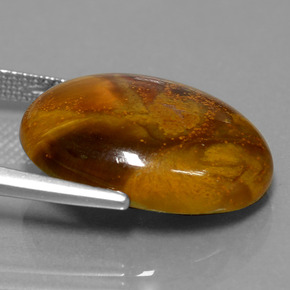 12,64 ctw natürlicher mehrfarbiger Pietersit, Oval Schliff, Lichtundurchlässig