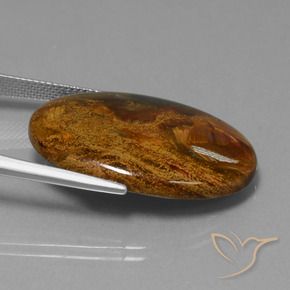 9,17 ctw natürlicher Mehrfarbig Pietersite, Oval, Lichtundurchlässig