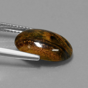 9,17 ctw natürlicher Mehrfarbig Pietersite, Oval Schliff, Lichtundurchlässig