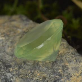 9,45 ctw natürlicher grüner Prehnit, Rundschliff, Lichtdurchlässig