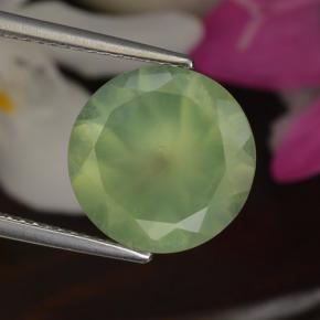 5,50 ctw natürlicher grüner Prehnit, Rundschliff, Lichtdurchlässig