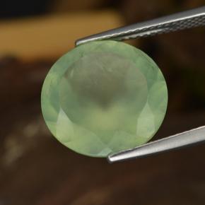 9,04 ctw natürlicher grüner Prehnit, Rundschliff, Lichtdurchlässig