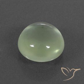 9,17 ctw natürlicher Pale Green  Prehnit, Runden, Transparent / Lichtdurchlässig