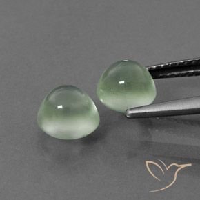 3.09 ct natürliche gelblich-grün Prehnit-Edelsteine, Runden, Transparent