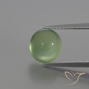 3.24ct Natürlicher gelblich-grün Prehnit, Oval, Transparent