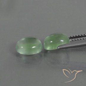 3.82 ct natürliche Warmes Grün Prehnit-Edelsteine, Oval, Transparent