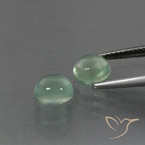 2.53 ct natürliche Helle Minze Prehnit-Edelsteine, Oval, Transparent