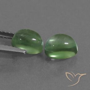 2.68 ct natürliche Warmes Grün Prehnit-Edelsteine, Oval, Transparent