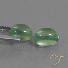 2.47 ct natürliche Erdiges Grün Prehnit-Edelsteine, Oval, Transparent