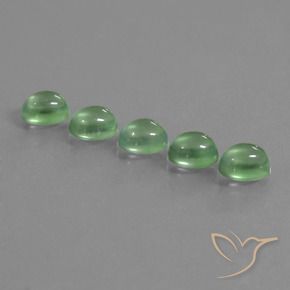 5.92 ct natürliche Warmes Grün Prehnit-Edelsteine, Oval, Transparent