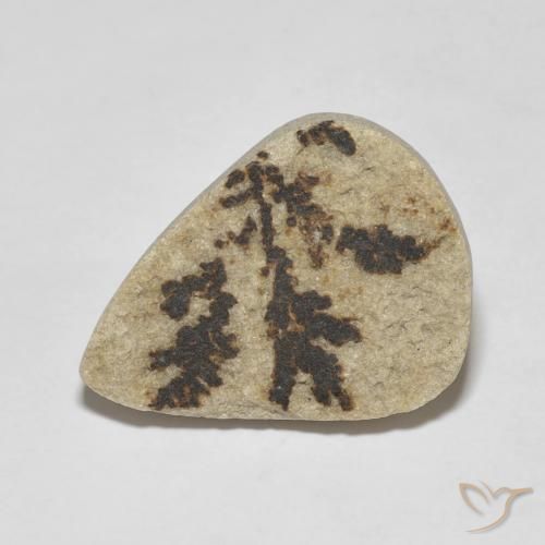 11.56ct Natürlicher Mehrfarbig Psilomelan-Dendriten, Birnenform, Lichtundurchlässig